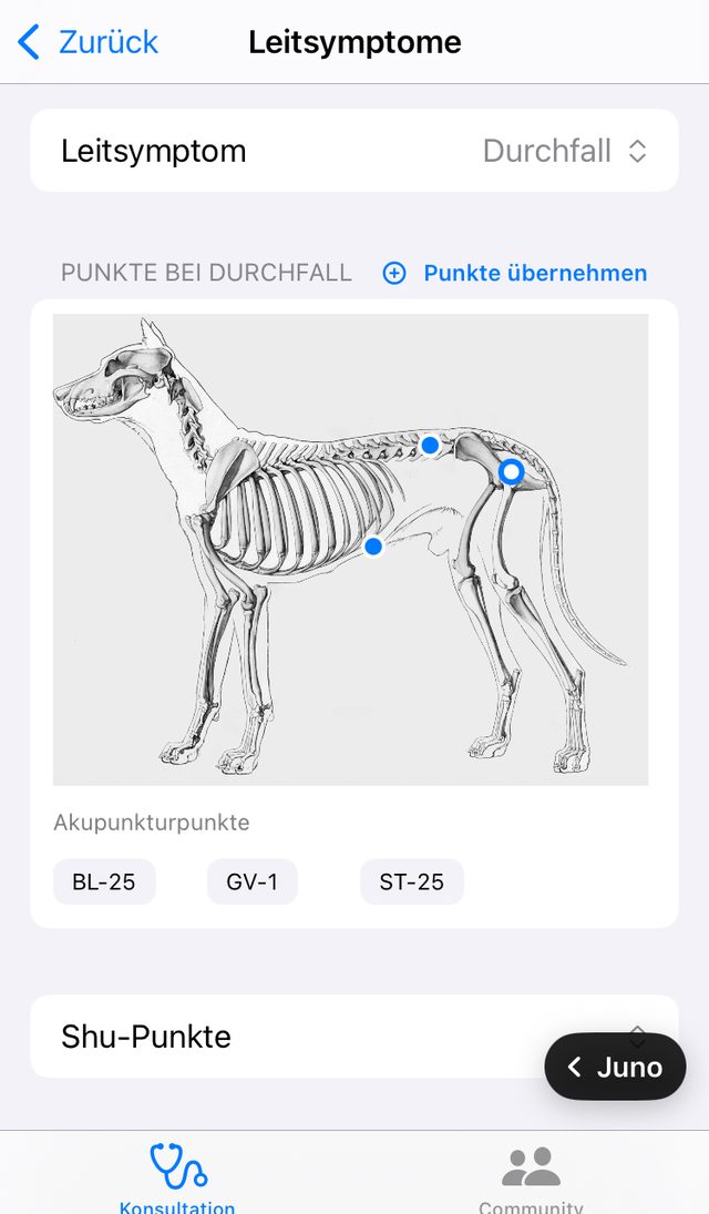 Leitsymptom Durchfall mit den passenden Punkten