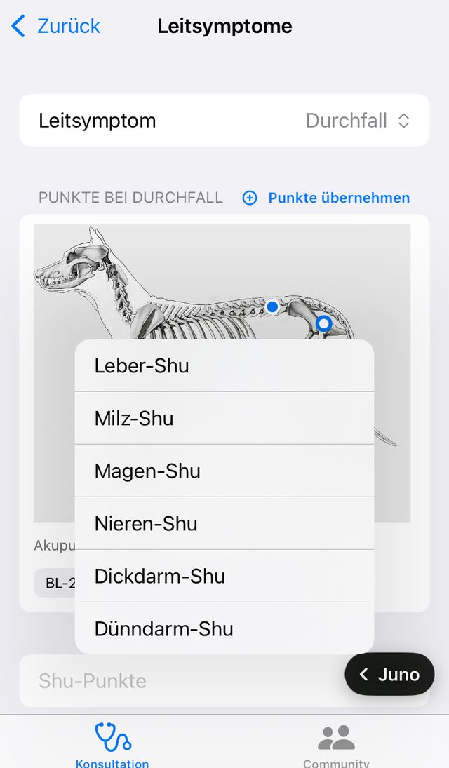 Auswahl der Shu-Punkte