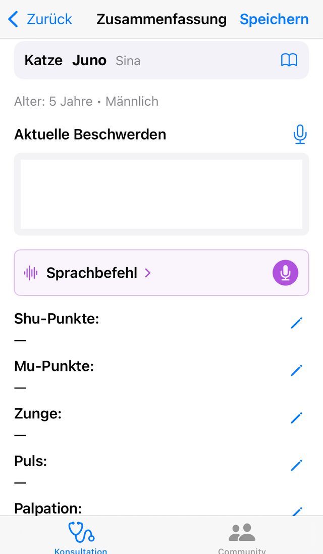 Zusammenfassung der Behandlung